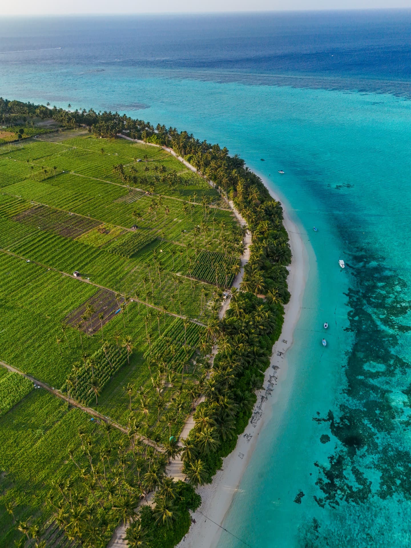 Thoddoo Island aerial view