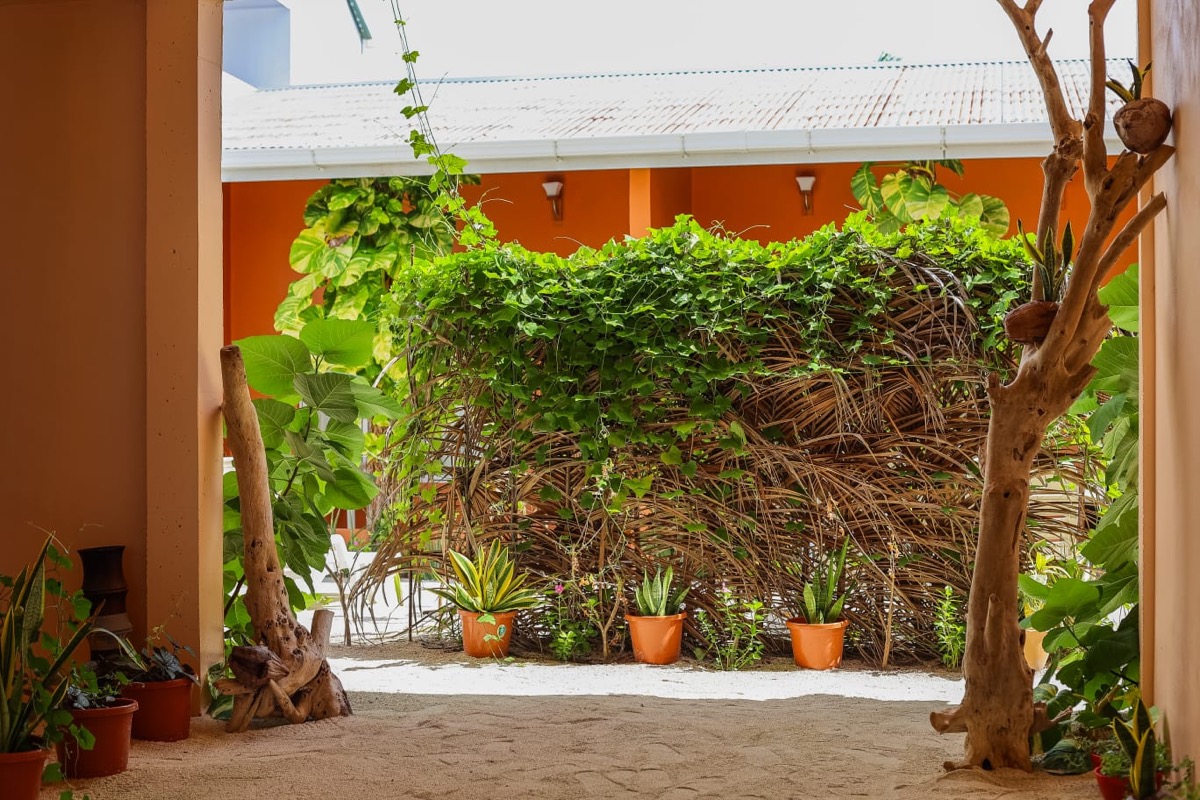 Deluxe Double or Twin